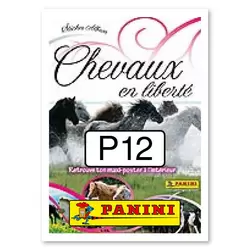 Sticker P12