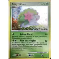 Shaymin holographique