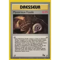 Mystérieux Fossile