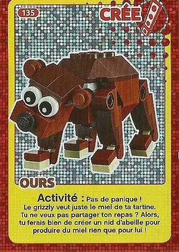 Cartes Lego Auchan : Crée ton Monde - Ours