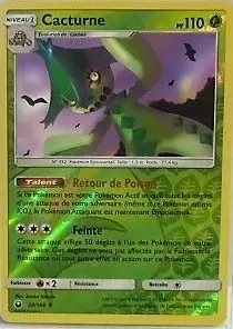 Tempête céleste - Cacturne Reverse