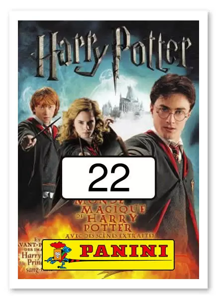 Le Monde Magique de Harry Potter - Image n°22