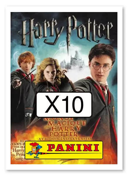 Le Monde Magique de Harry Potter - Image X10