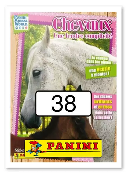 Chevaux, une tendre complicité - Image n°38