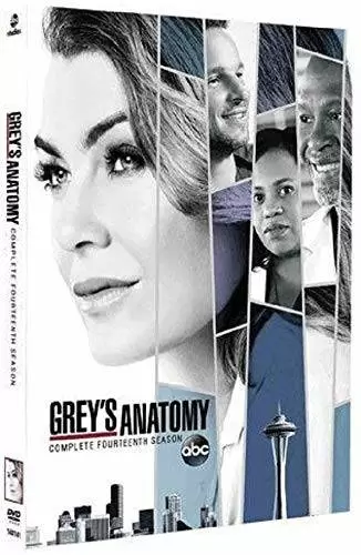 Grey\'s Anatomy - Grey\'s Anatomy - L\'intégrale saison 14