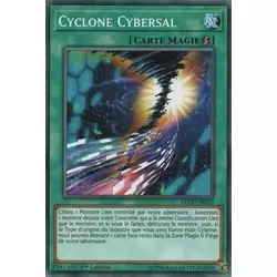 Cyclone Cybersal