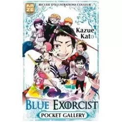 Pocket gallery - Recueil d'illustrations couleur