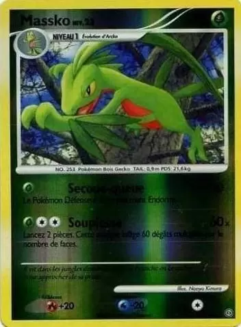 Tempête - Massko Reverse