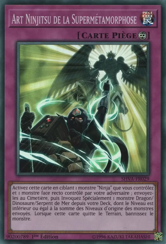Les Ombres au Walhalla SHVA - Art Ninjitsu de la Supermétamorphose