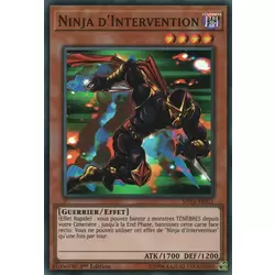 Ninja d'Intervention
