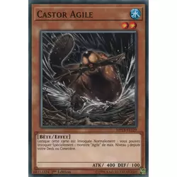 Castor Agile