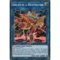 Sorcier de la Récupération