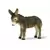 Baby donkey