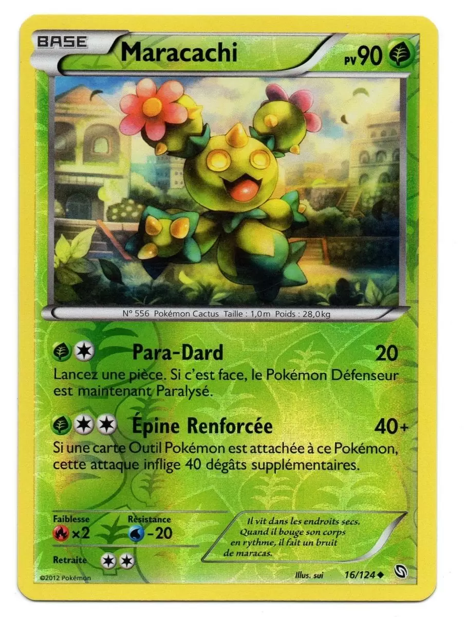 Dragons Exaltés - Maracachi Reverse