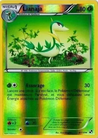 Pokémon Série Noir et Blanc - Lianaja Reverse
