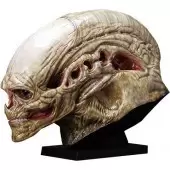 Sideshow - Tête Alien Newborn