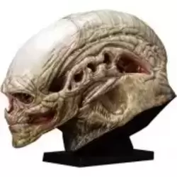 Tête Alien Newborn