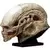 Sideshow - Tête Alien Newborn