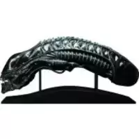 Tête Alien Warrior Blue Edition