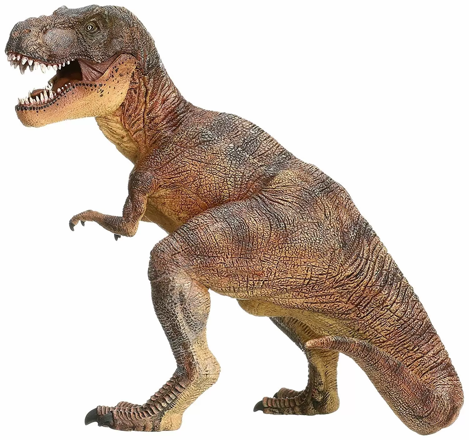 PAPO - Tyrannosaure Rex