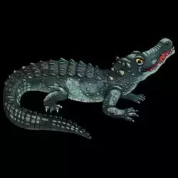 Alligator Mississippiensis