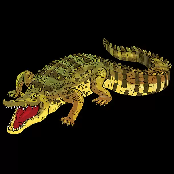 Krocodiles & Co. - Maxi Edition - Crocodylus Niloticus