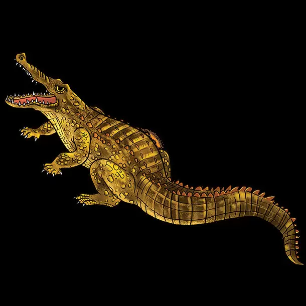 Krocodiles & Co. - Maxi Edition - Crocodylus Rhombifer