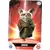 Carte SHIFU (Kunfu Panda)