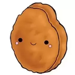 Nikki Nugget