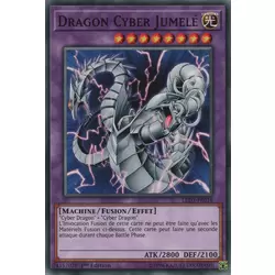 Dragon Cyber Jumelé