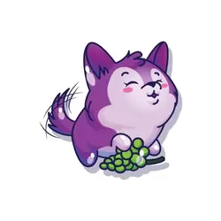 Petrie The Wolf