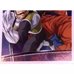 Image n°13