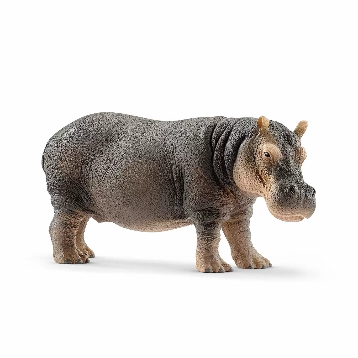 Wild Life - Hippopotame