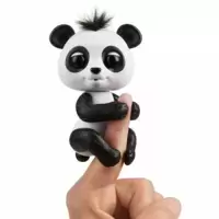 Bay Panda Drew