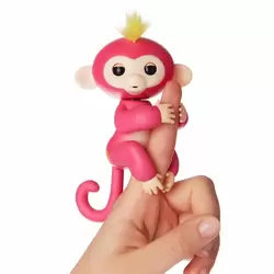 Baby Monkey Bella