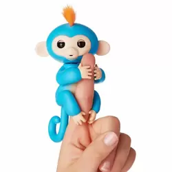 Baby Monkey Boris
