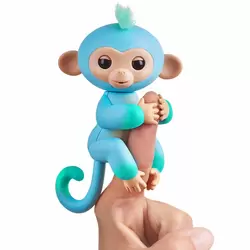 Baby Monkey Charlie