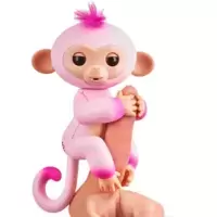 BAby Monkey Emma
