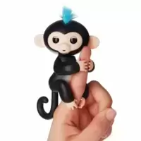 Baby Monkey Finn