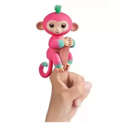 Baby Monkey Melon