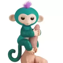 Baby Monkey Quincy