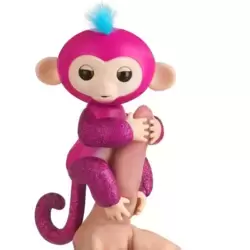 Baby Monkey Razz