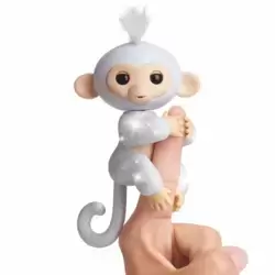 Baby Monkey Sugar