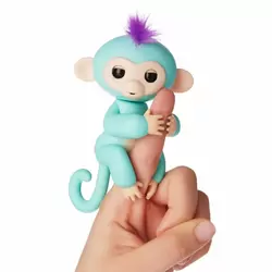 Baby Monkey Zoé