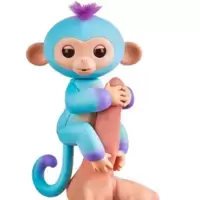Baby Monkey Ava