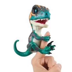 Raptor Fury