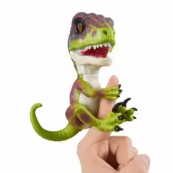 Raptor Stealth