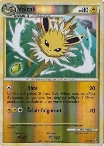 Pokémon L\'appel des Légendes - Voltali Reverse