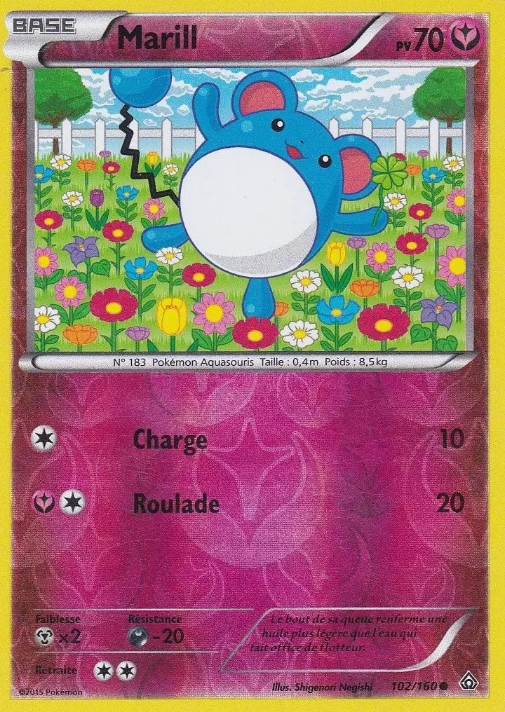 Pokémon XY Primo Choc - Marill Reverse