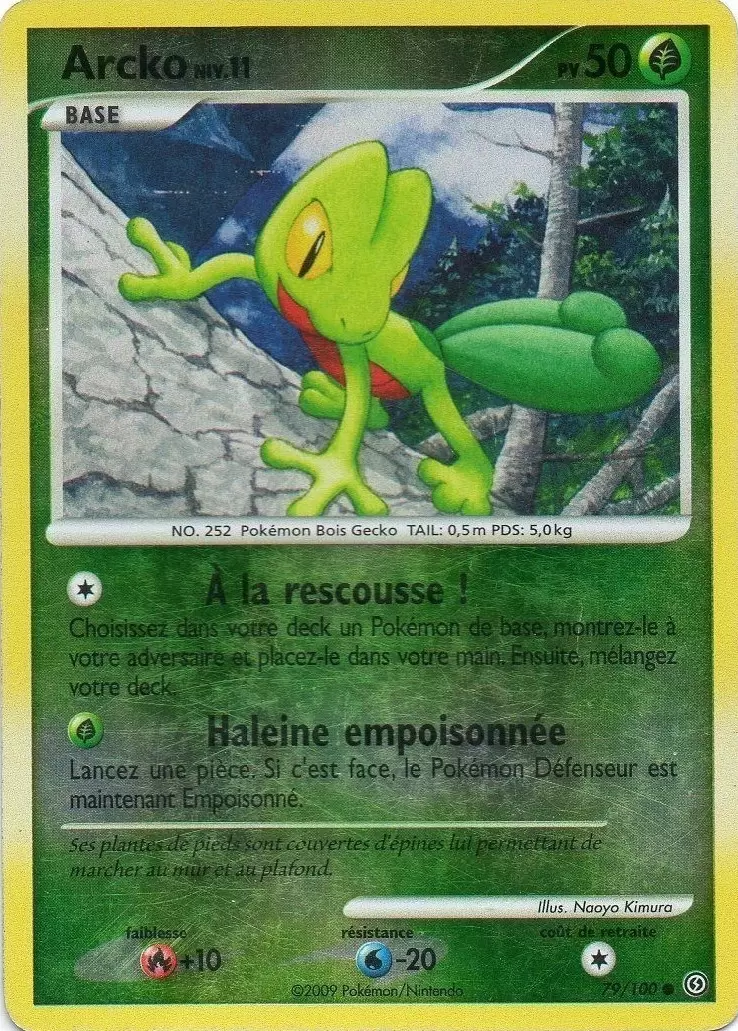 Tempête - Arcko Reverse